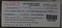 Image Associated With the Occurence